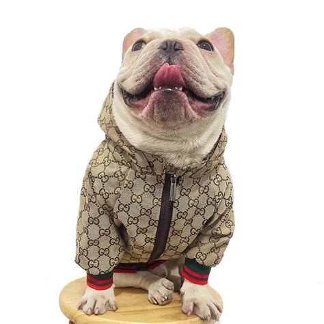 gucci pet zwart|gucci designer dog clothing.